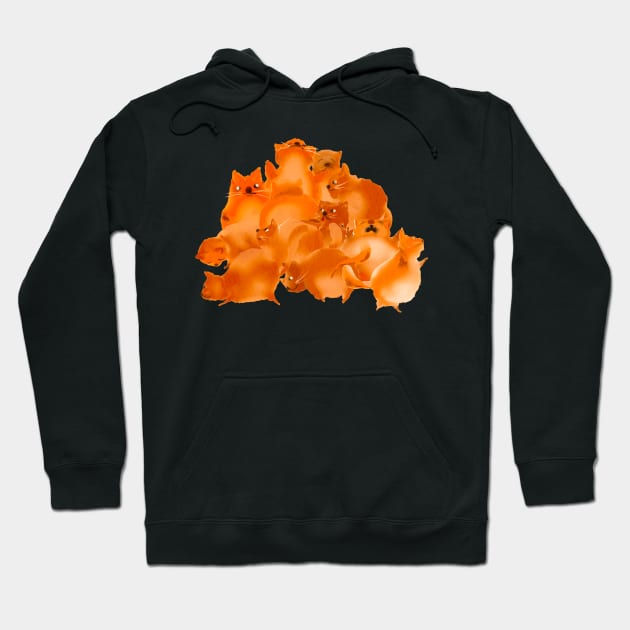 Orange cats Hoodie by Ljuko